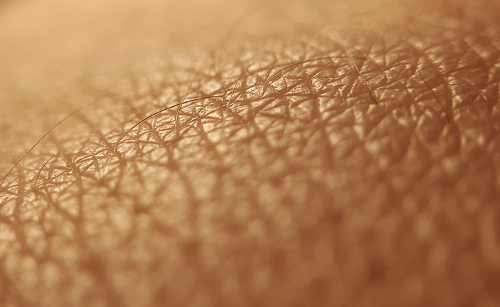 Microbioma: o que ele tem a ver com a saúde da sua pele?