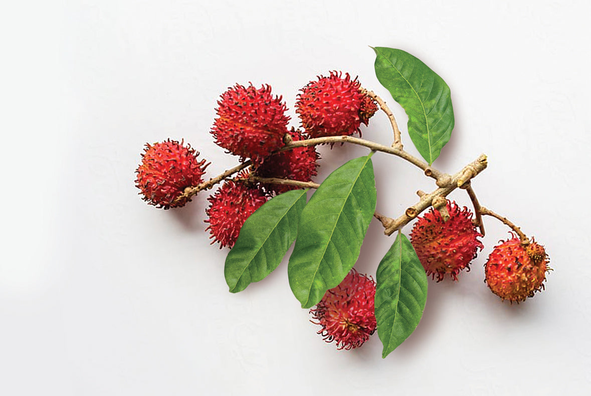 Conheça o Bio-Retinol do Rambutan, o bioativo que age na estrutura da pele