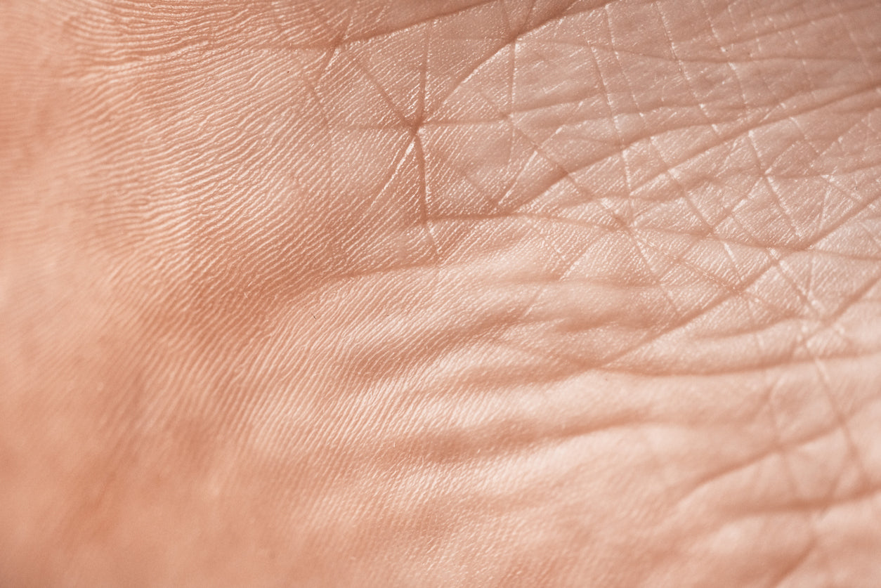 cronobiologia, saúde da pele, o que é higiene do sono, como fazer higiene do sono, como o estresse impacta na saúde da pele, regeneração noturna, relógio biológico, como ter um sono restaurador, como ter a pele firme, envelhecimento da pele