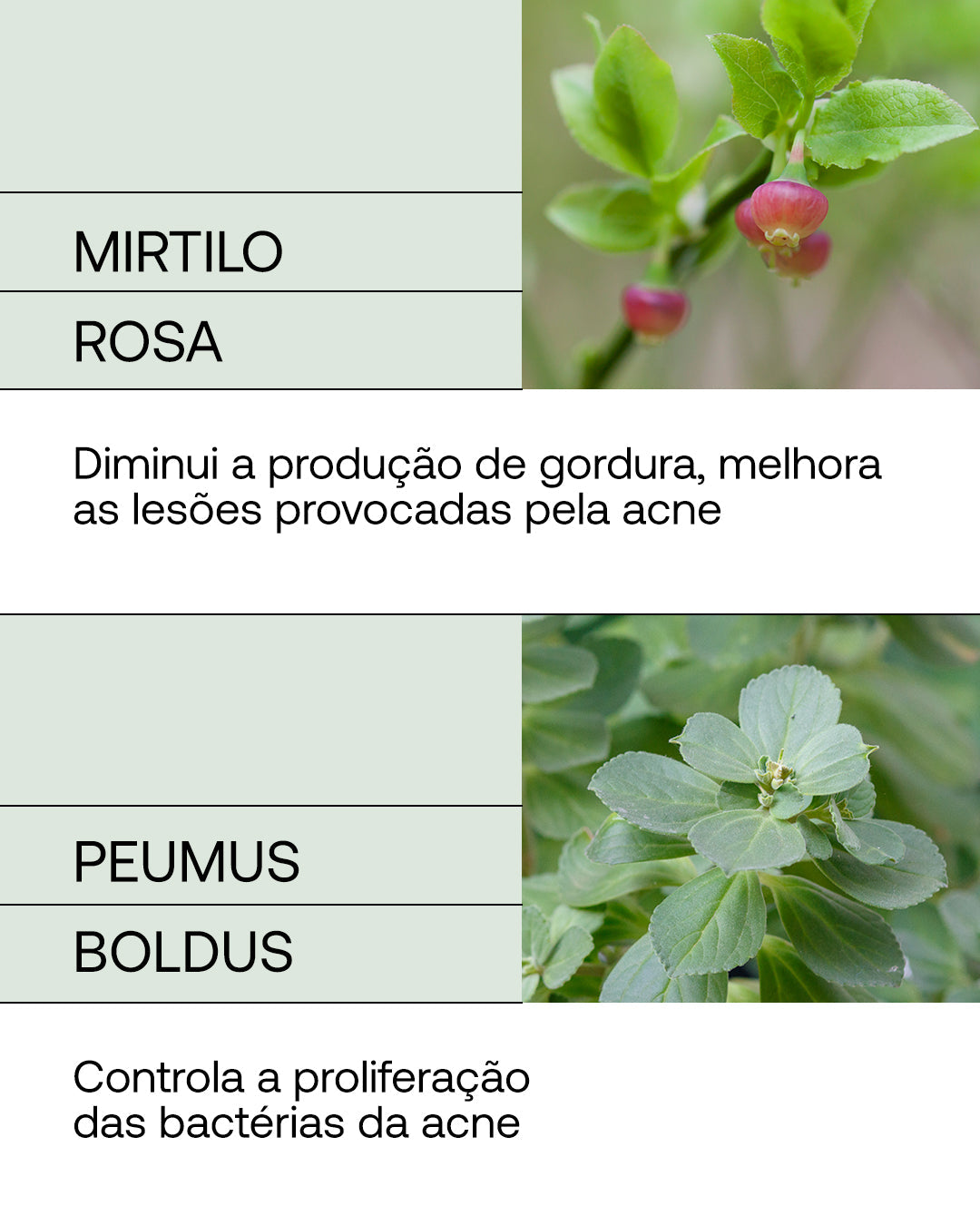 Sérum Oil Control - Travel Size - Presente